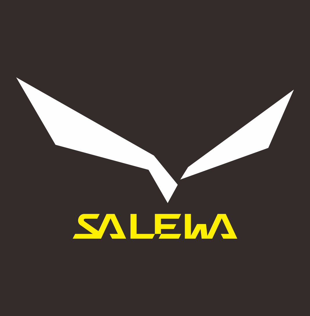 沙乐华 SALEWA